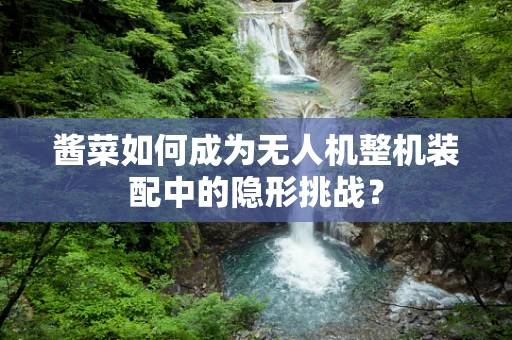 酱菜如何成为无人机整机装配中的隐形挑战？