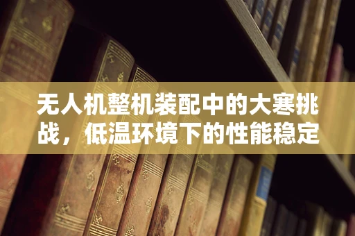 无人机整机装配中的大寒挑战，低温环境下的性能稳定性