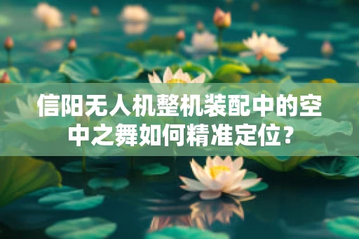 信阳无人机整机装配中的空中之舞如何精准定位？