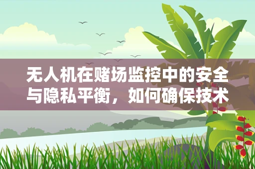 无人机在赌场监控中的安全与隐私平衡，如何确保技术合规？
