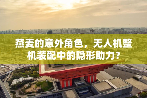 燕麦的意外角色，无人机整机装配中的隐形助力？