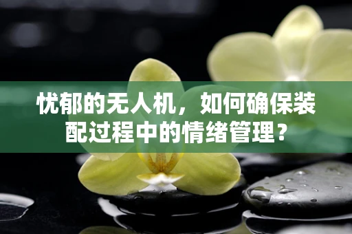 忧郁的无人机，如何确保装配过程中的情绪管理？