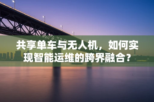 共享单车与无人机，如何实现智能运维的跨界融合？