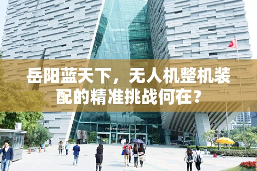 岳阳蓝天下，无人机整机装配的精准挑战何在？