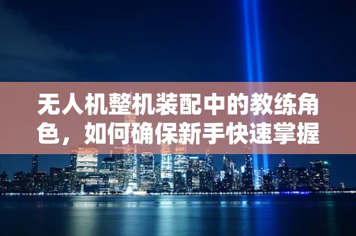 无人机整机装配中的教练角色，如何确保新手快速掌握关键技能？
