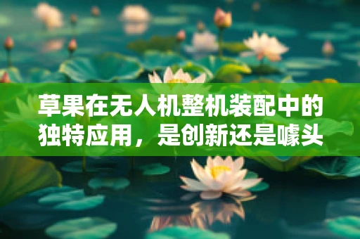草果在无人机整机装配中的独特应用，是创新还是噱头？