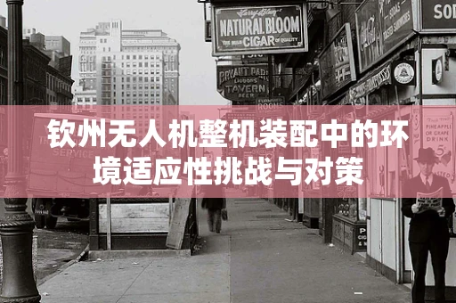 钦州无人机整机装配中的环境适应性挑战与对策