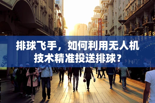排球飞手，如何利用无人机技术精准投送排球？