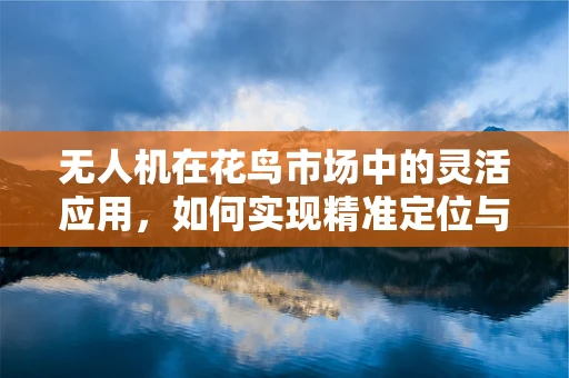 无人机在花鸟市场中的灵活应用，如何实现精准定位与智能导航？