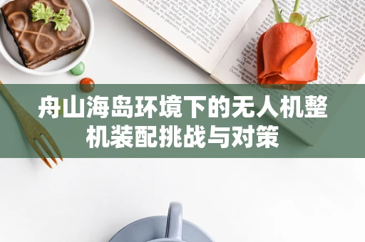 舟山海岛环境下的无人机整机装配挑战与对策