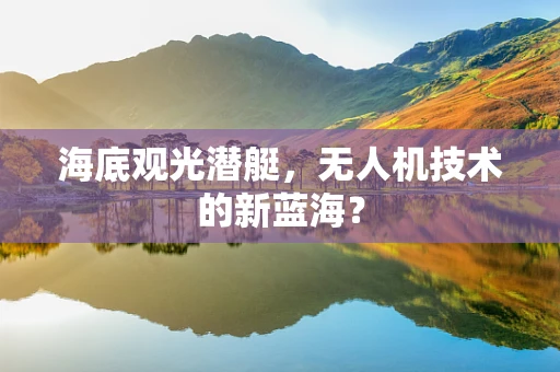 海底观光潜艇，无人机技术的新蓝海？