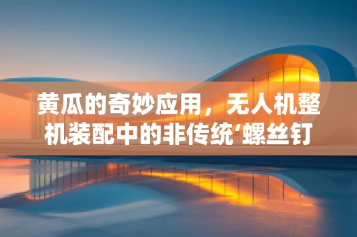 黄瓜的奇妙应用，无人机整机装配中的非传统‘螺丝钉’角色