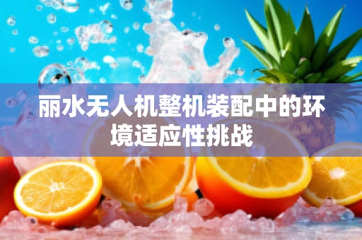 丽水无人机整机装配中的环境适应性挑战
