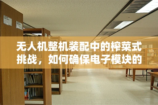 无人机整机装配中的榨菜式挑战，如何确保电子模块的稳固与风味并存？