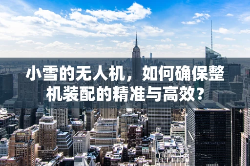 小雪的无人机，如何确保整机装配的精准与高效？