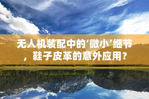 无人机装配中的‘微小’细节，鞋子皮革的意外应用？