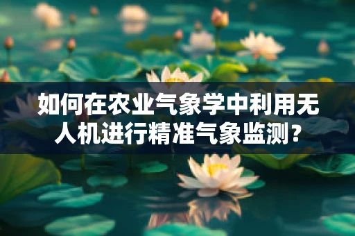 如何在农业气象学中利用无人机进行精准气象监测？