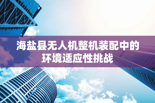 海盐县无人机整机装配中的环境适应性挑战