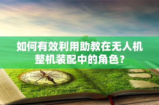 如何有效利用助教在无人机整机装配中的角色？