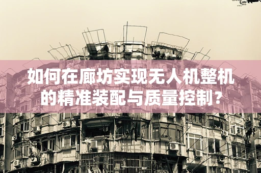 如何在廊坊实现无人机整机的精准装配与质量控制？