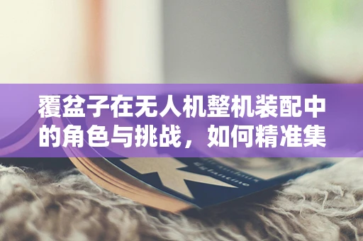 覆盆子在无人机整机装配中的角色与挑战，如何精准集成？