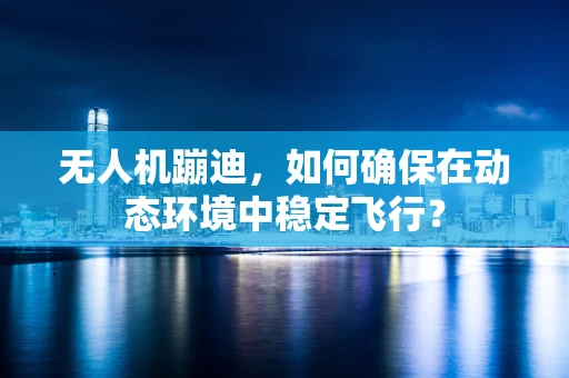 无人机蹦迪，如何确保在动态环境中稳定飞行？