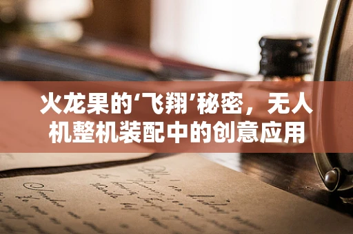 火龙果的‘飞翔’秘密，无人机整机装配中的创意应用