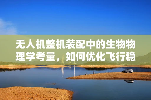 无人机整机装配中的生物物理学考量，如何优化飞行稳定性与自主导航？