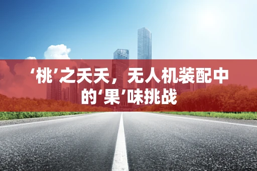 ‘桃’之夭夭，无人机装配中的‘果’味挑战