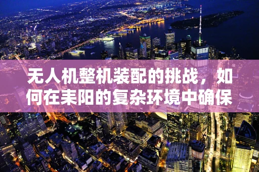 无人机整机装配的挑战，如何在耒阳的复杂环境中确保飞行稳定性？