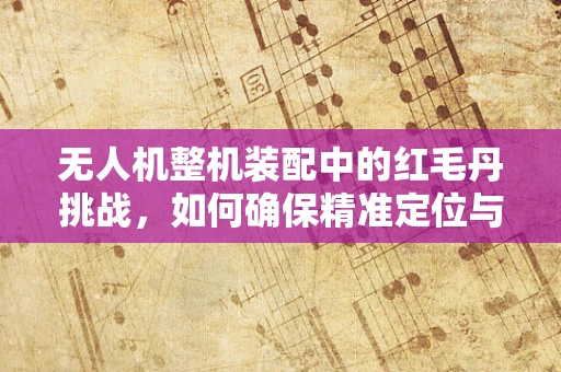无人机整机装配中的红毛丹挑战，如何确保精准定位与安全飞行？