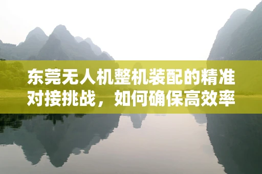 东莞无人机整机装配的精准对接挑战，如何确保高效率与高质量的双重飞跃？
