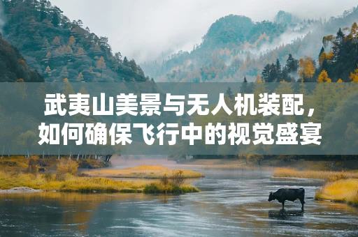 武夷山美景与无人机装配，如何确保飞行中的视觉盛宴无懈可击？