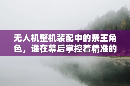 无人机整机装配中的亲王角色，谁在幕后掌控着精准的装配艺术？