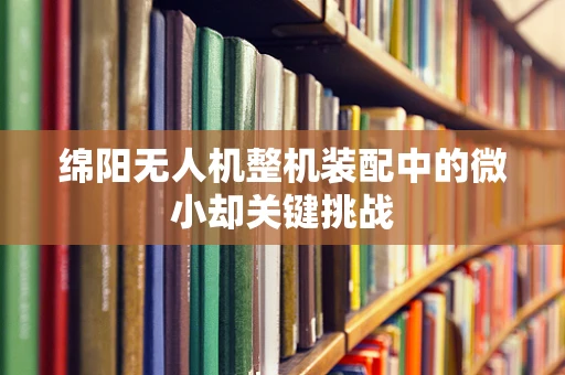绵阳无人机整机装配中的微小却关键挑战