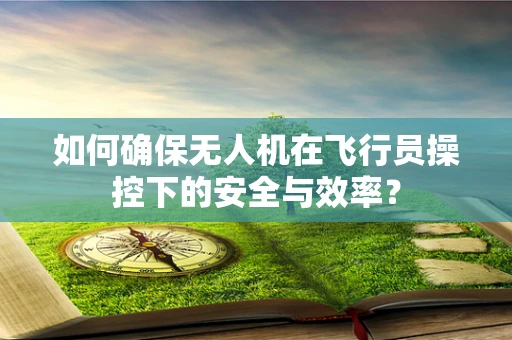 如何确保无人机在飞行员操控下的安全与效率？