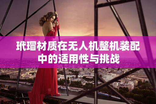玳瑁材质在无人机整机装配中的适用性与挑战