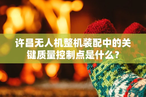 许昌无人机整机装配中的关键质量控制点是什么？