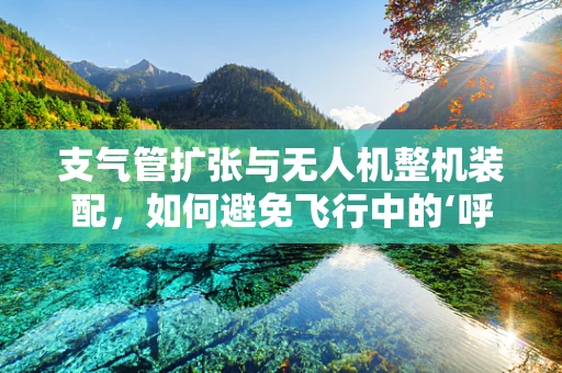 支气管扩张与无人机整机装配，如何避免飞行中的‘呼吸不畅’？