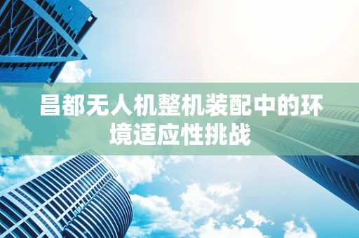 昌都无人机整机装配中的环境适应性挑战