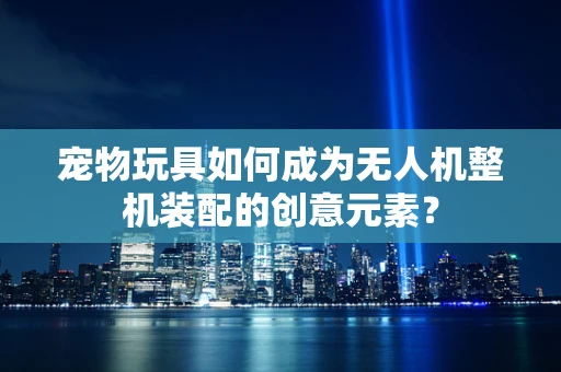 宠物玩具如何成为无人机整机装配的创意元素？