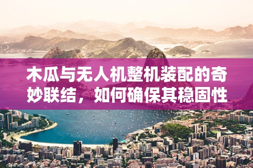 木瓜与无人机整机装配的奇妙联结，如何确保其稳固性？