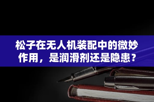 松子在无人机装配中的微妙作用，是润滑剂还是隐患？