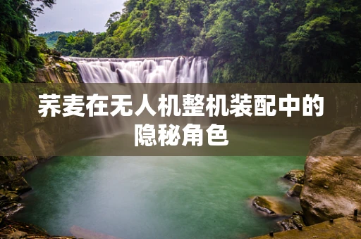 荞麦在无人机整机装配中的隐秘角色