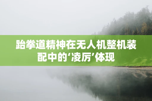 跆拳道精神在无人机整机装配中的‘凌厉’体现