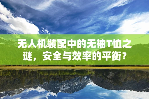 无人机装配中的无袖T恤之谜，安全与效率的平衡？