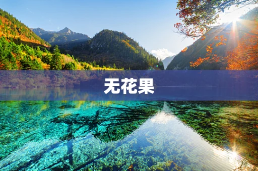无花果