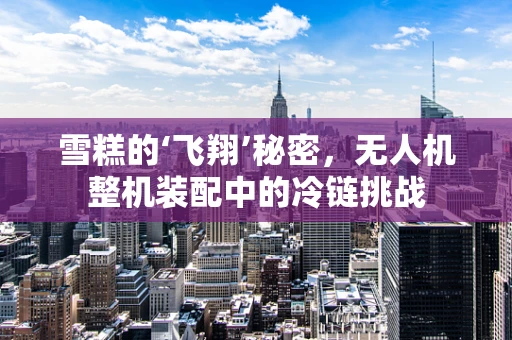 雪糕的‘飞翔’秘密，无人机整机装配中的冷链挑战