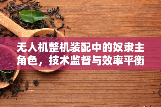 无人机整机装配中的奴隶主角色，技术监督与效率平衡的挑战