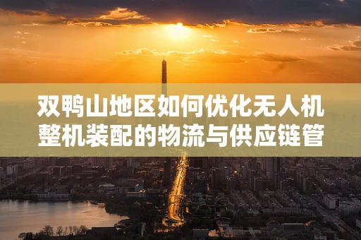 双鸭山地区如何优化无人机整机装配的物流与供应链管理？